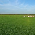 Wilga CUP 2011 img 59
